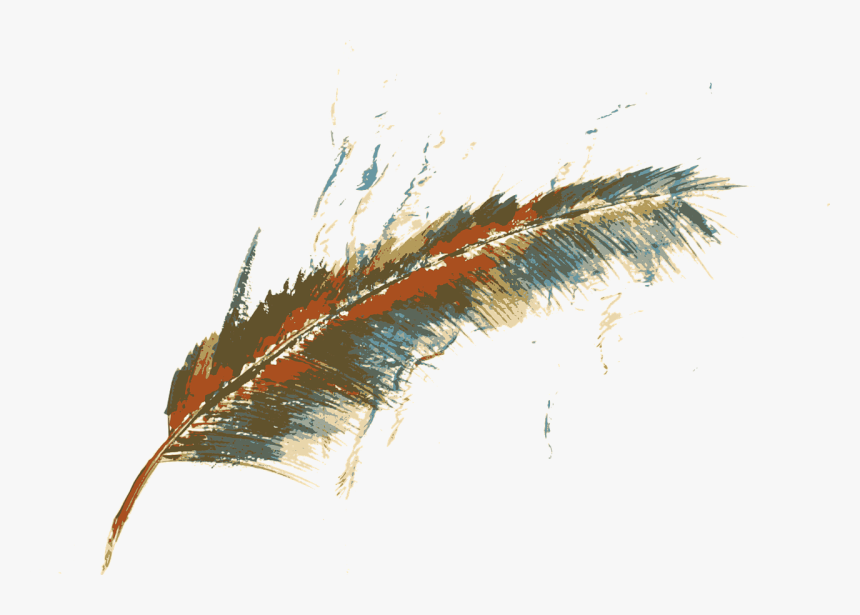 Transparent Feather Vector Png, Png Download