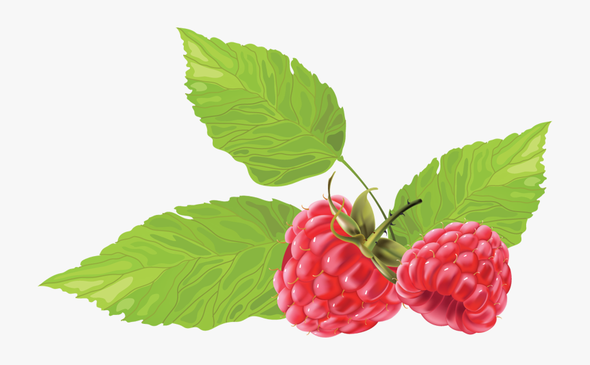 Transparent Clipart Été, HD Png Download