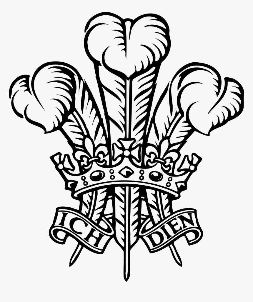 Feather Vector Png, Transparent Png