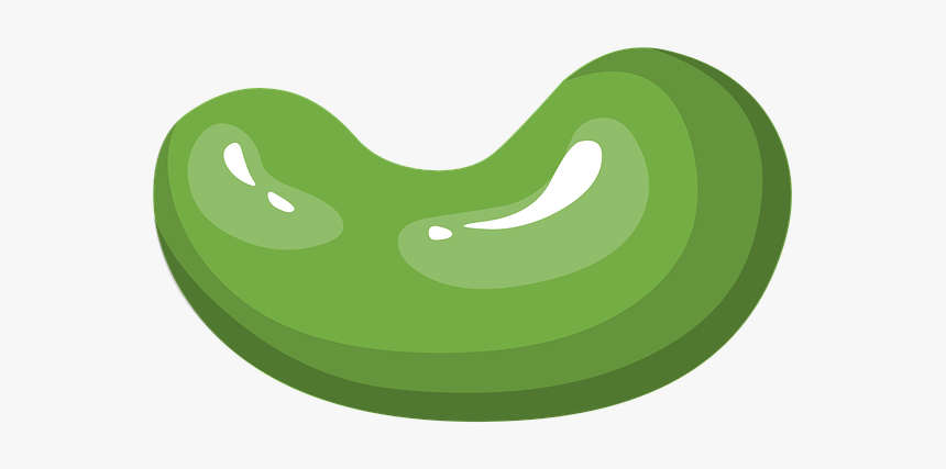 Green Bean Png, Transparent Png