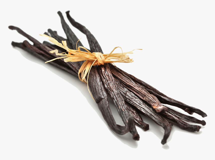 Vanilla Bean Png Photos, Transparent Png