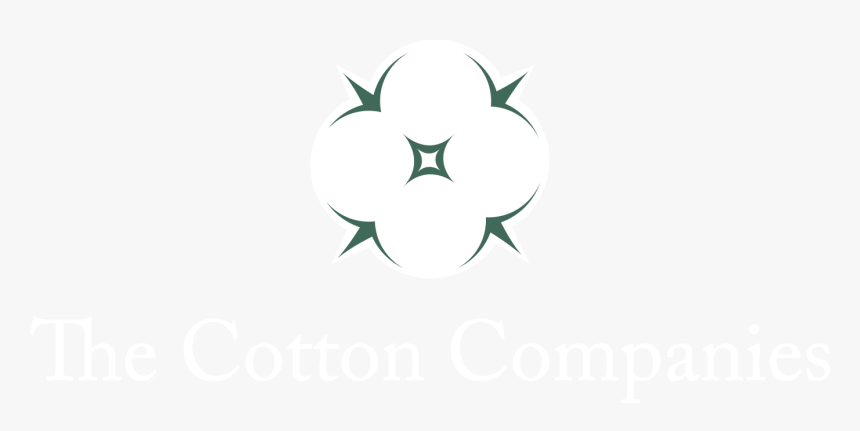 Cotton Png, Transparent Png