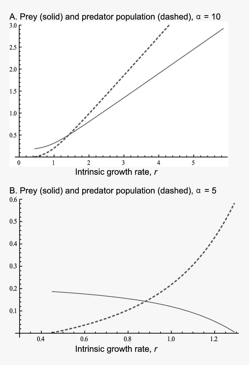Dashed Line Png, Transparent Png