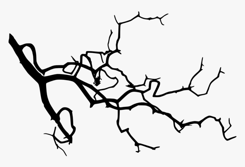 Tree Branch Silhouette Png, Transparent Png
