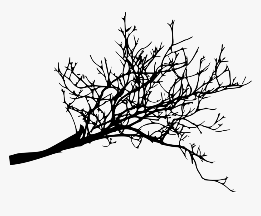 Free Png Tree Branches Silhouette Png Images Transparent, Png Download
