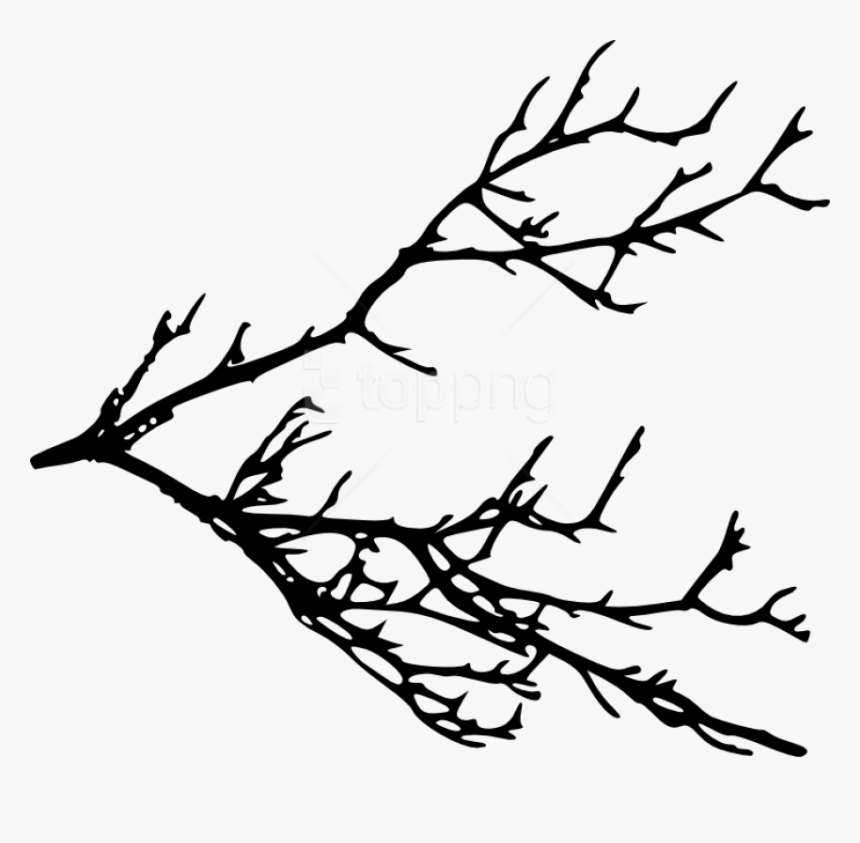 Tree Branch Silhouette Png, Transparent Png