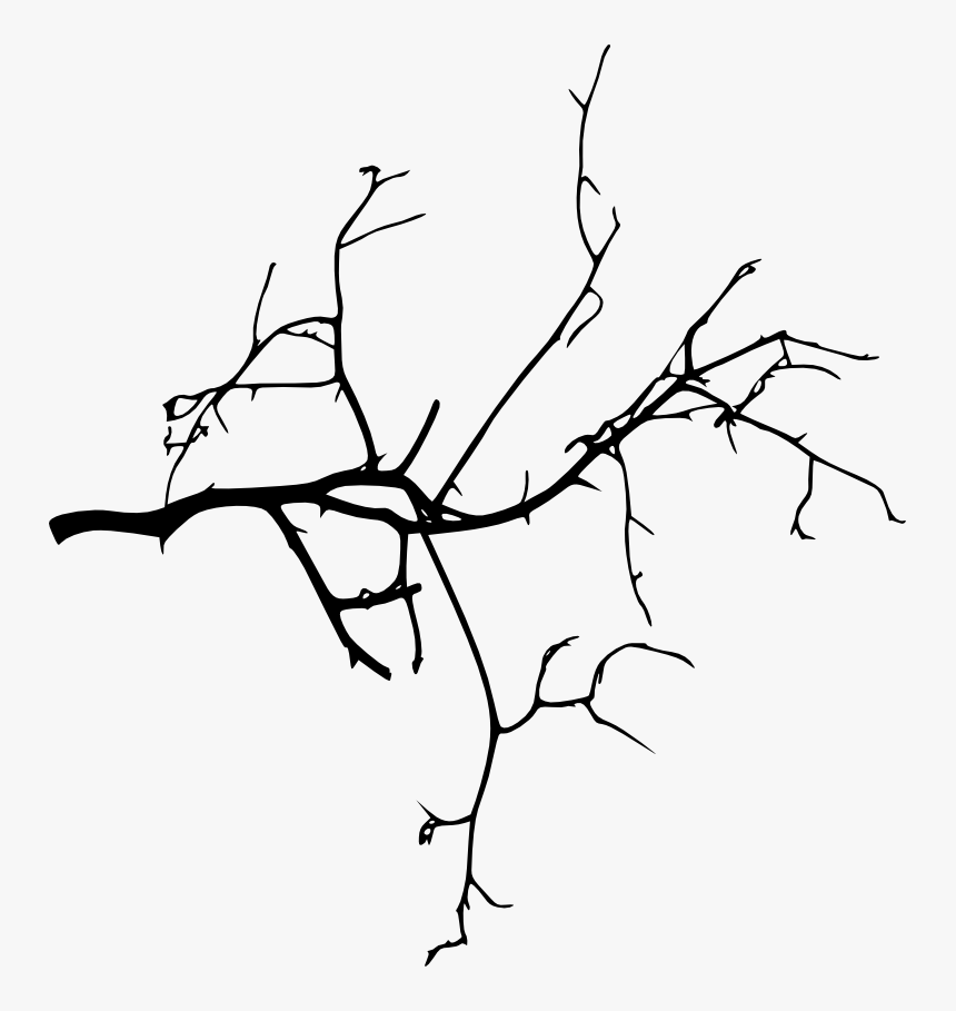Tree Branch Silhouette Png, Transparent Png