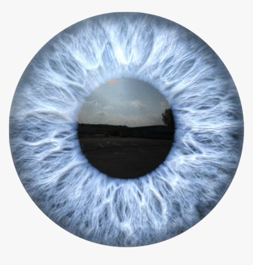 Circle , Png Download, Transparent Png