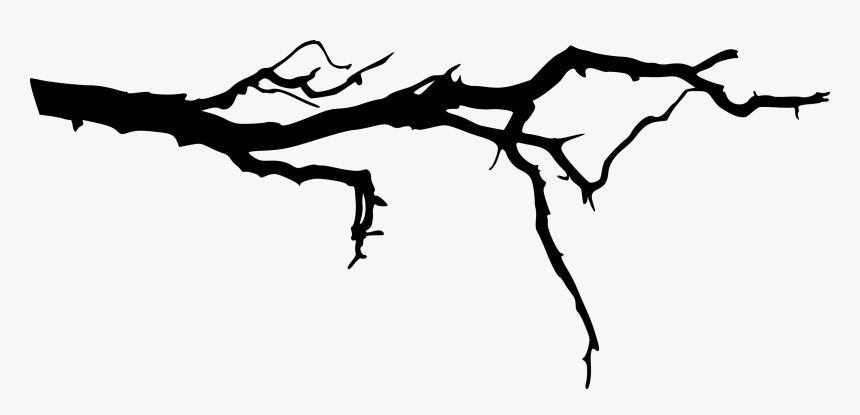 Tree Branch Silhouette Png, Transparent Png