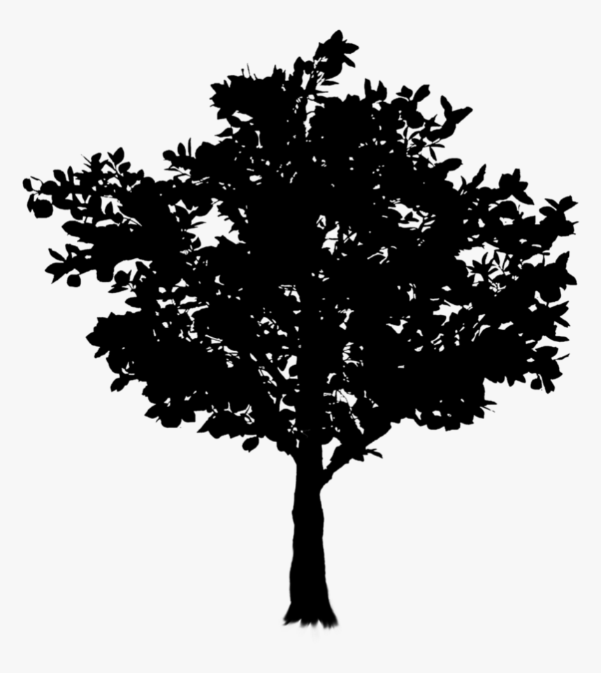 Oak Twig Tree Branch Free Frame Clipart, HD Png Download