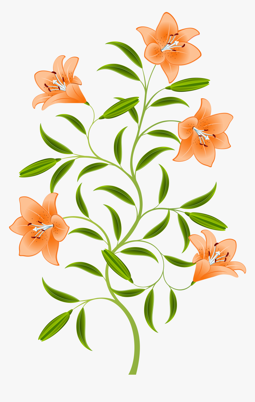 Orange Lily Png, Transparent Png