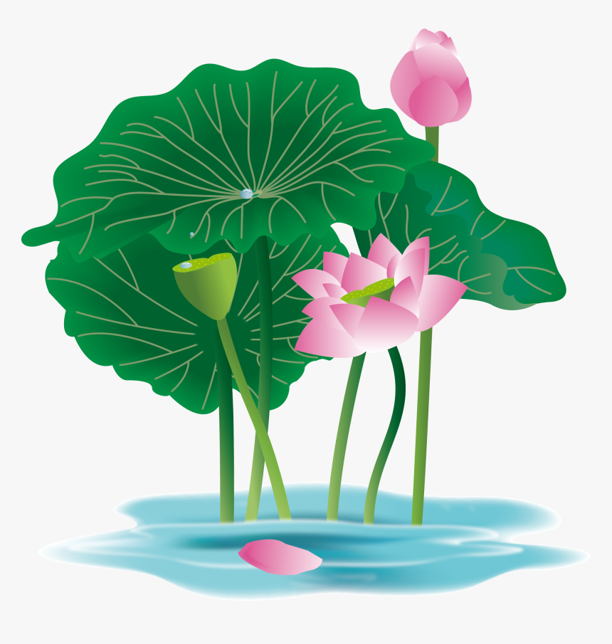Hand Painted Plant Flower Water Lily Png And Vector, Transparent Png