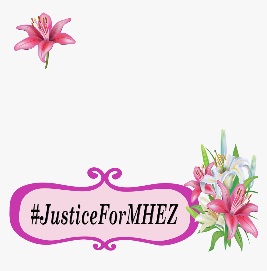 Contribute To Isupportcause, HD Png Download