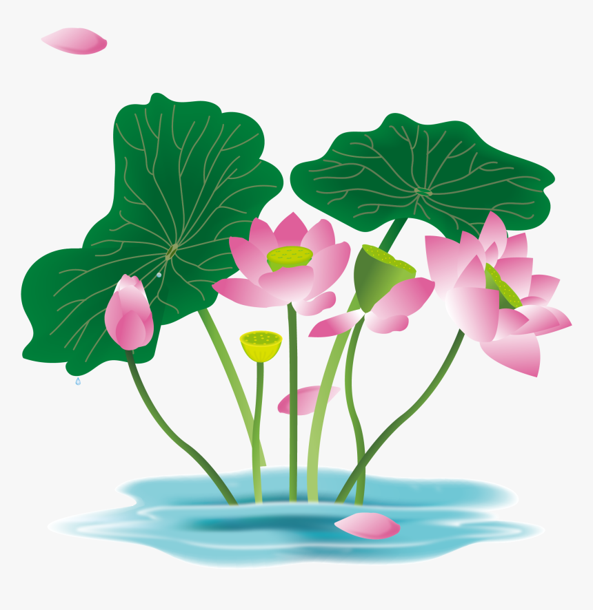 Hand Painted Flower Plant Water Lily Png And Vector, Transparent Png