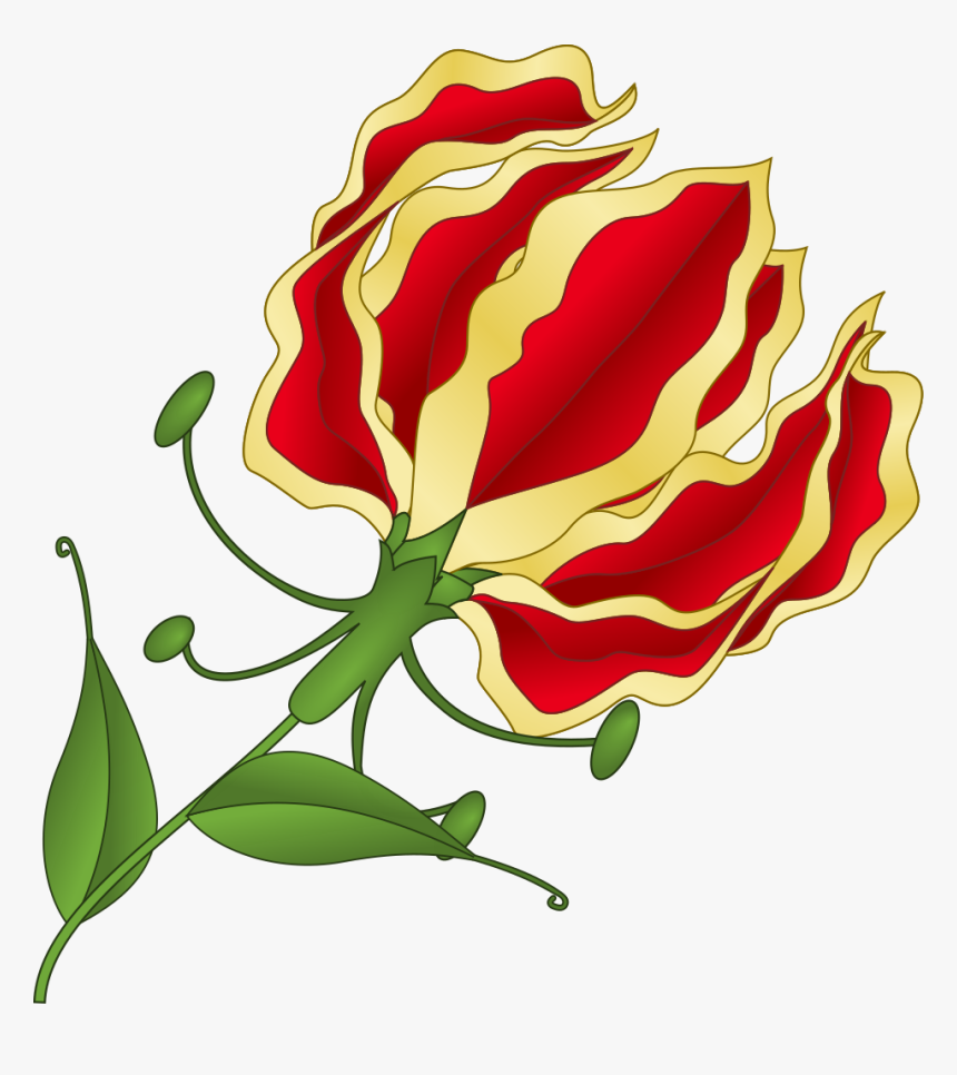 Lily Png, Transparent Png