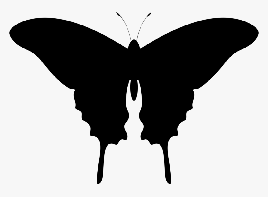 Butterfly Silhouette Png, Transparent Png