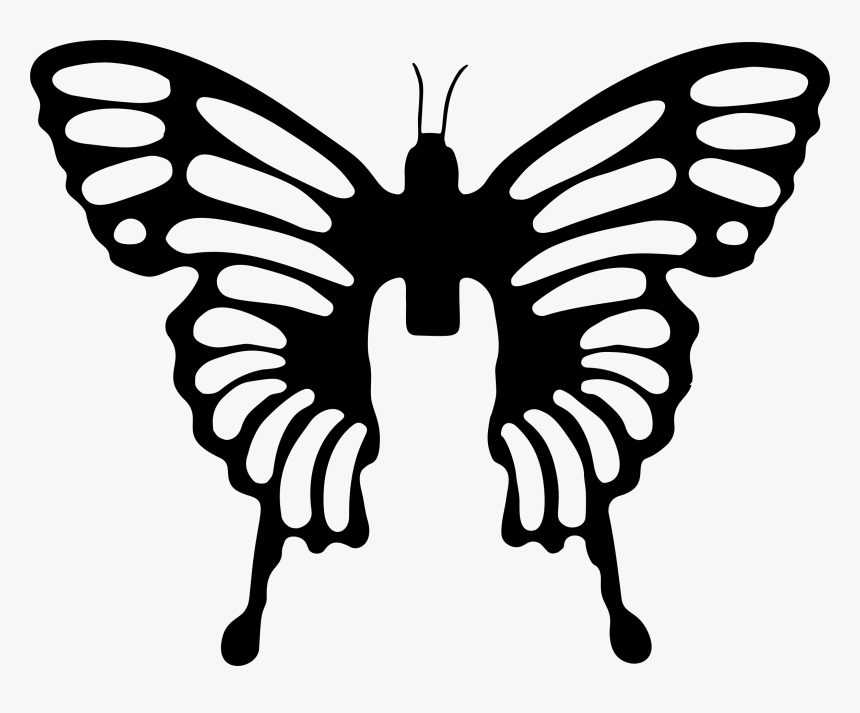 Symetrical Drawing Butterfly, HD Png Download