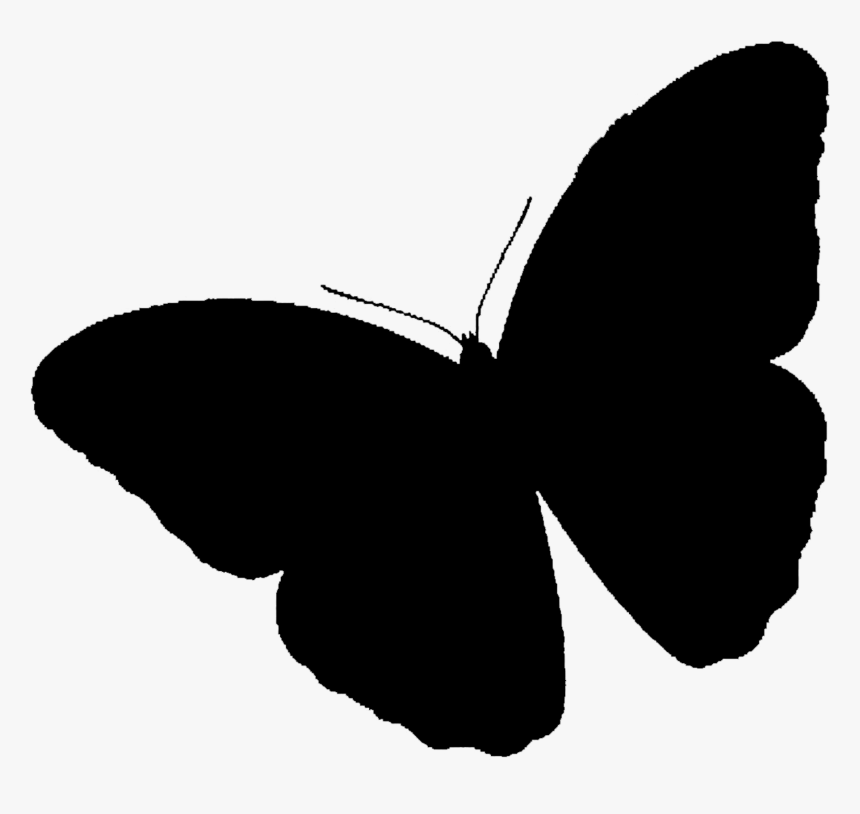 Brush-footed Butterflies Clip Art Silhouette Black, HD Png Download
