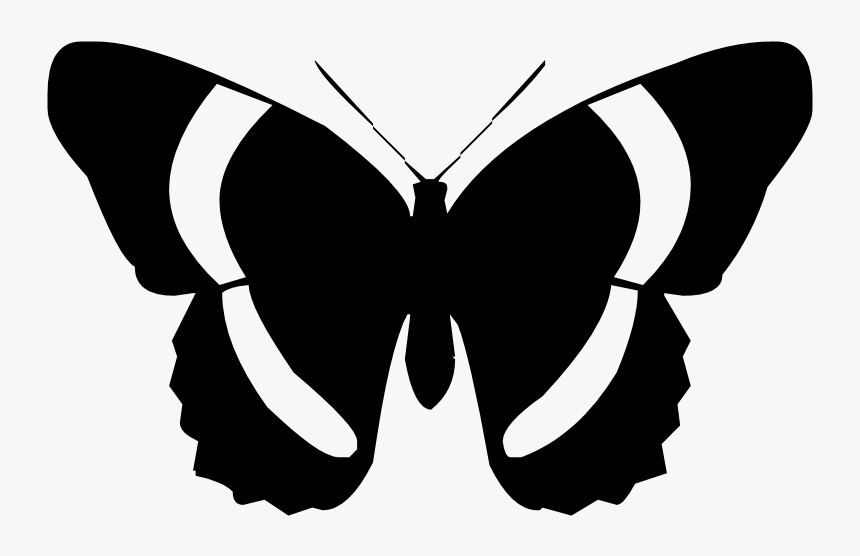 Butterfly Silhouette Png, Transparent Png