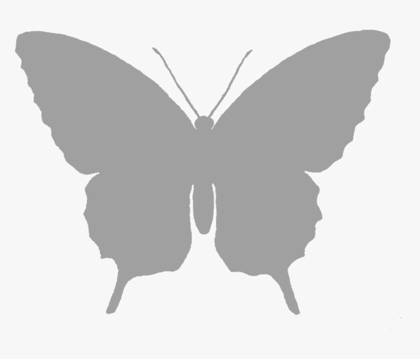 Butterfly Grayscale Image Silhouette Download, HD Png Download