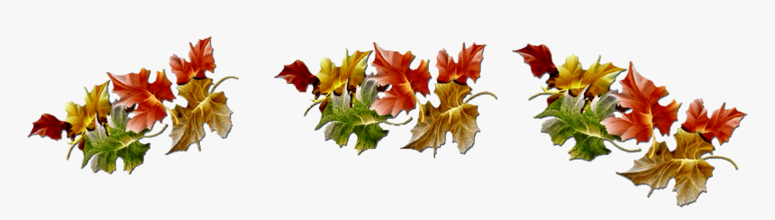 Leaves, HD Png Download