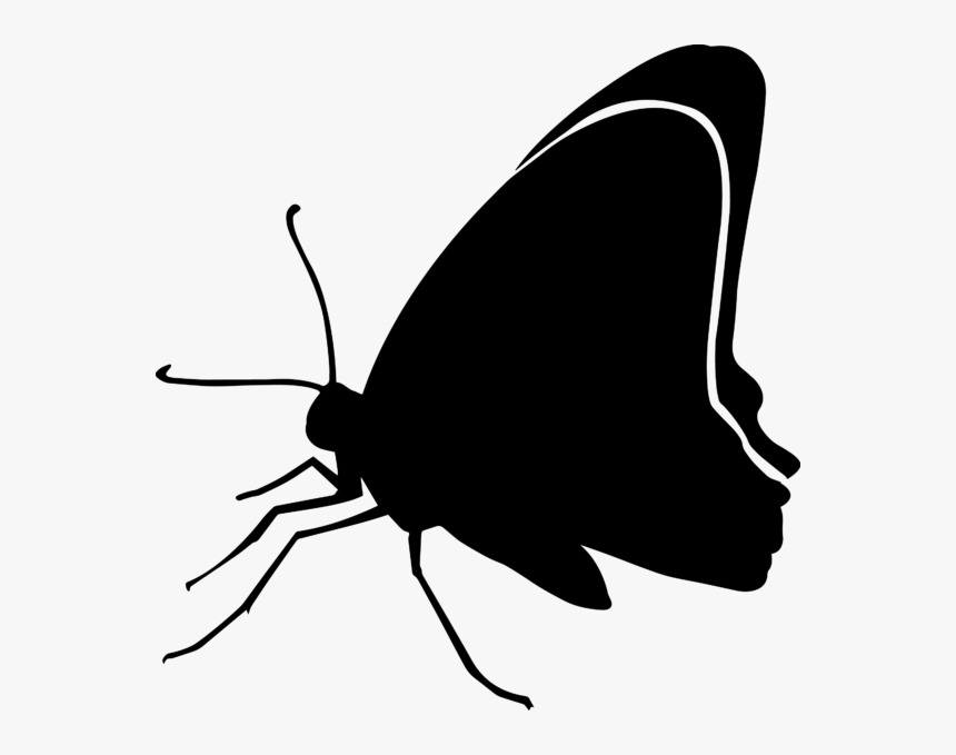 Transparent Black And White Butterfly Png, Png Download