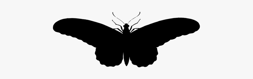 Vintage Butterfly Illustration Silhouette, HD Png Download