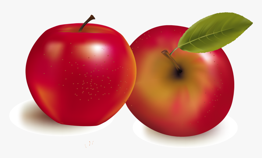 Fruit Royalty Free Stock Photography Illustration, HD Png Download
