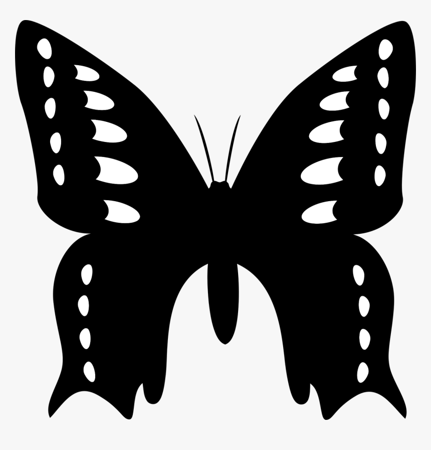 Animal Butterfly Flying Free Picture, HD Png Download