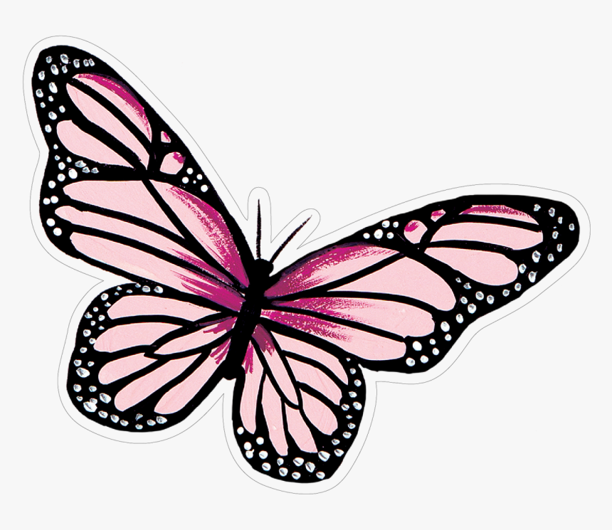 Butterfly, HD Png Download