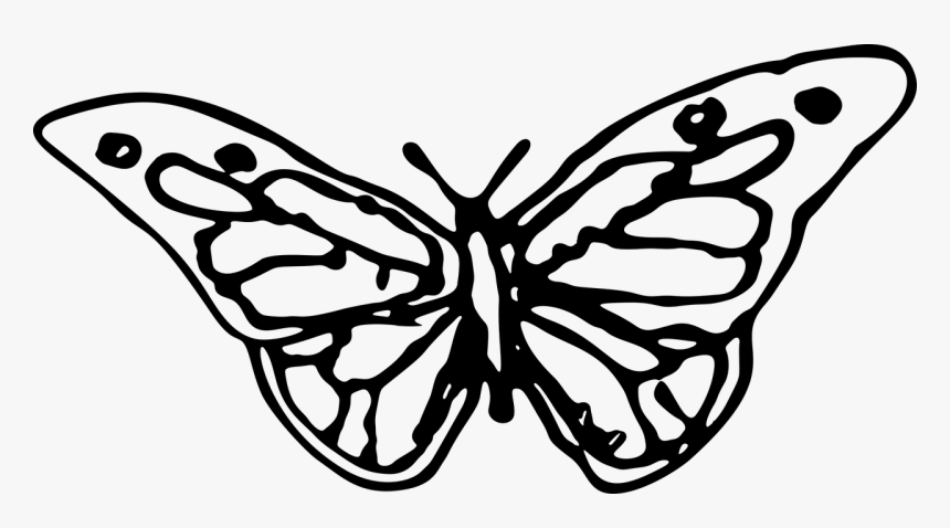 Hand Drawn Butterfly Silhouette, HD Png Download