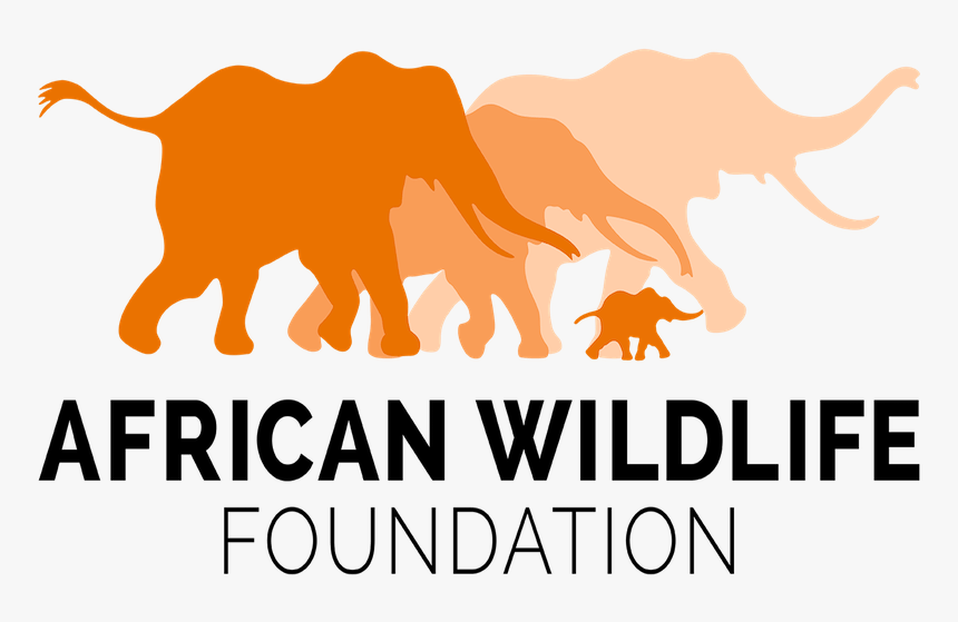African Wildlife Foundation Logo, HD Png Download