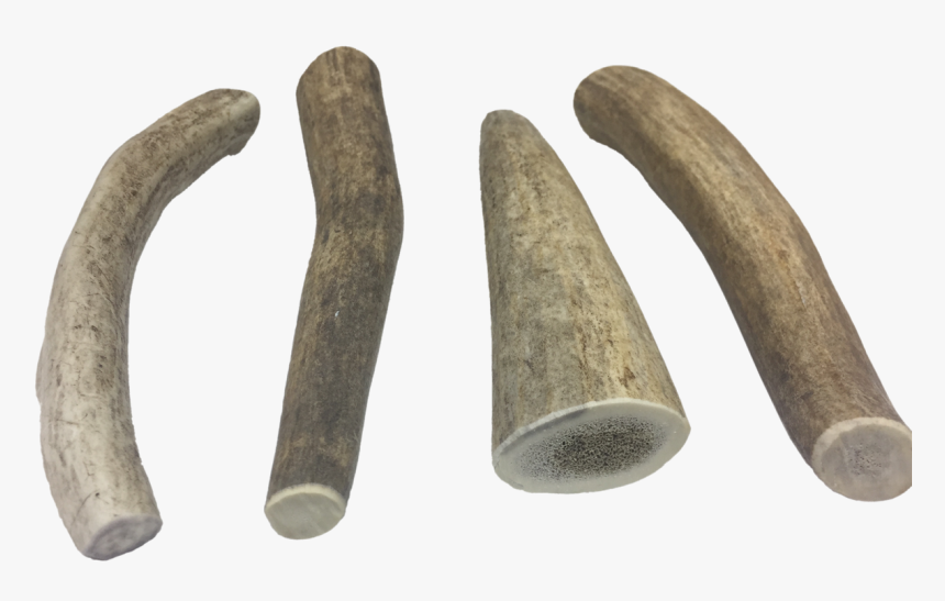 Elk, HD Png Download