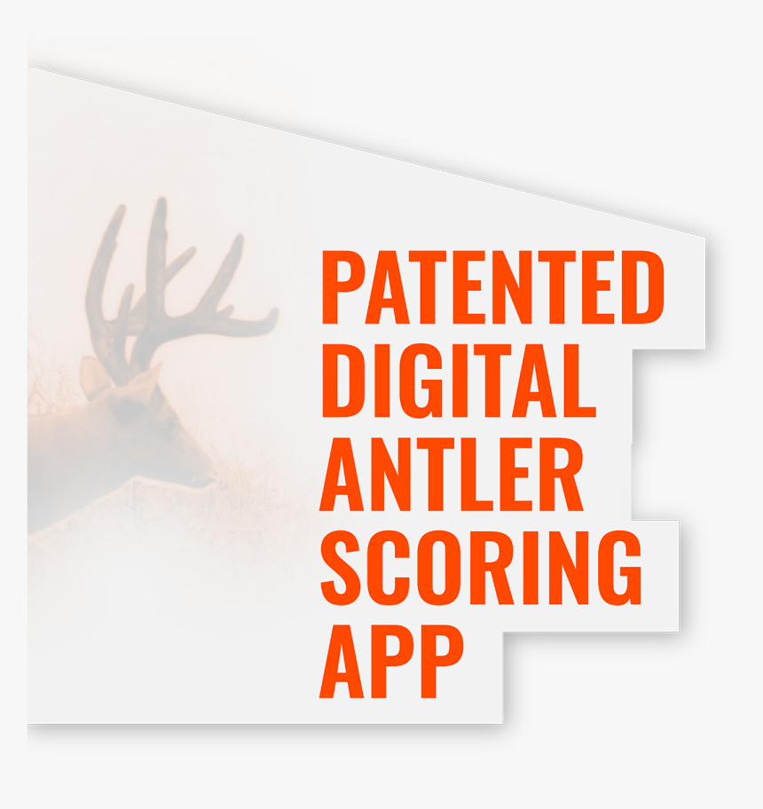 Antler Png, Transparent Png