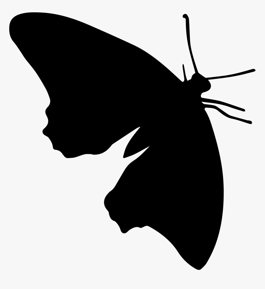 Butterfly Silhouette Png, Transparent Png
