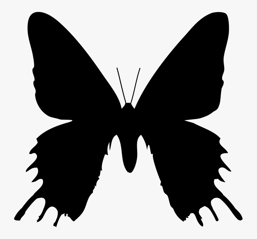 Butterfly, Silhouette, Nature, Decorative, Black, Shape, HD Png Download