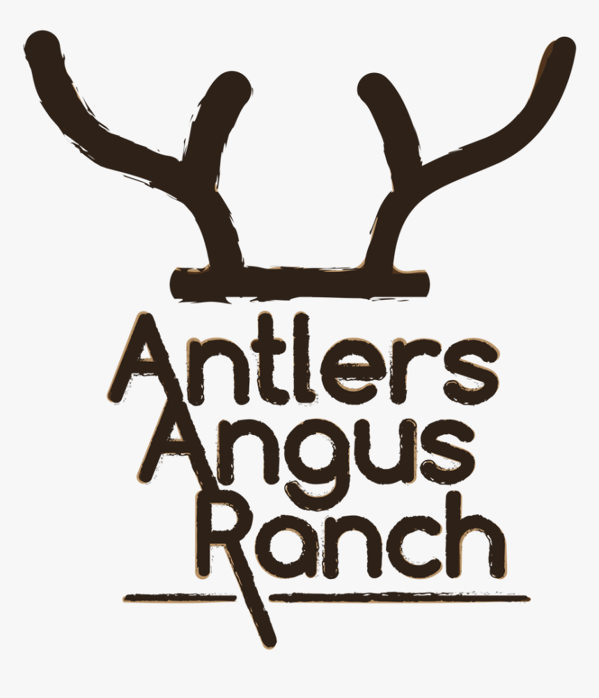 Antler Png, Transparent Png
