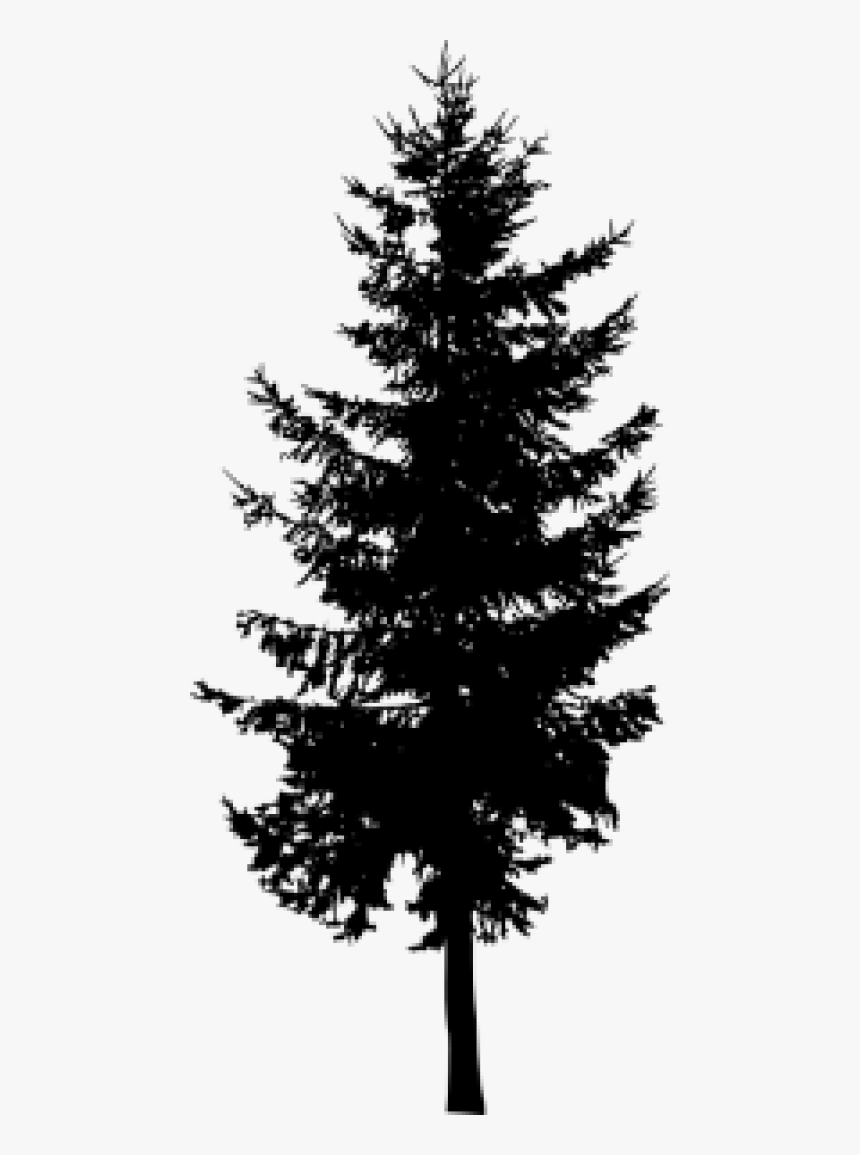 Pine Trees Png Transparent Png Transparent Png Image Pngitem