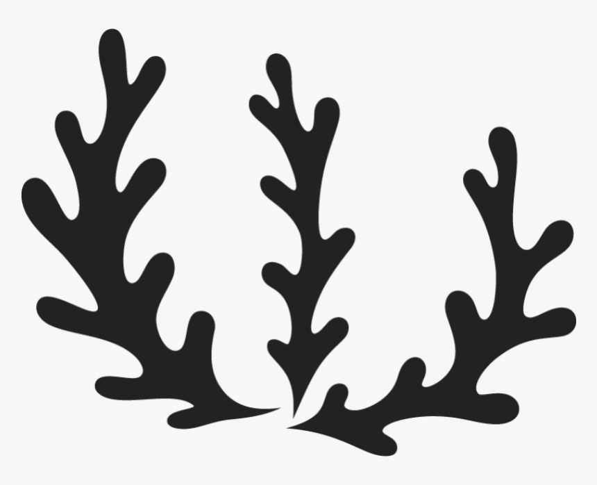 Transparent Leaf Clipart, HD Png Download