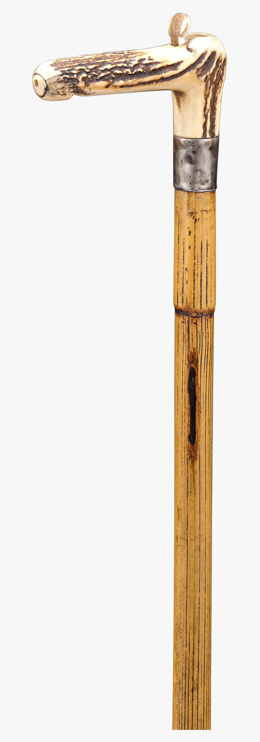Horse Measuring And Antler Whistle Cane, HD Png Download