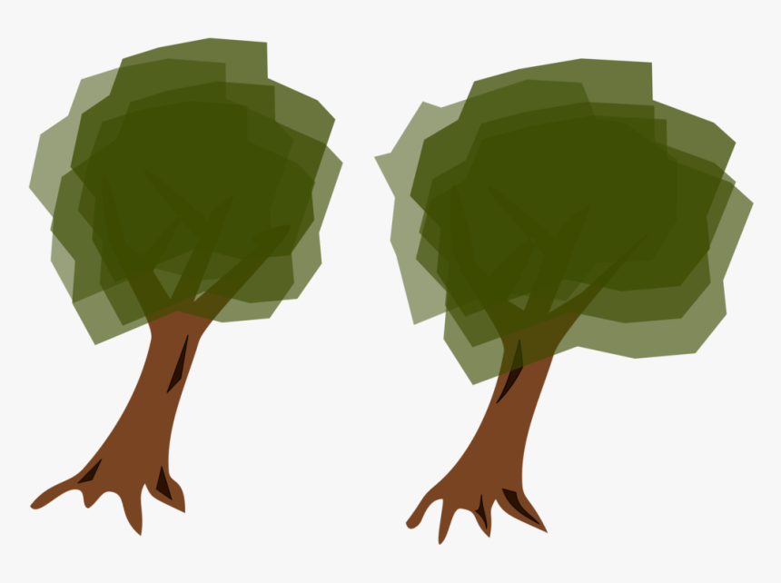 Plant,leaf,tree, HD Png Download