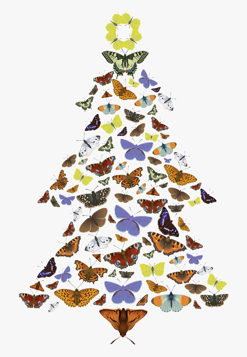 Pine Trees Png, Transparent Png