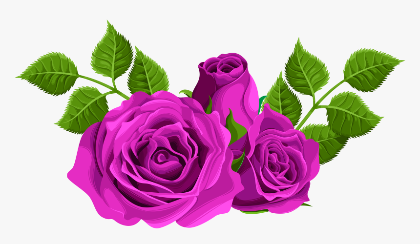 Clip Black And White Download Decorative Png Clip Art, Transparent Png