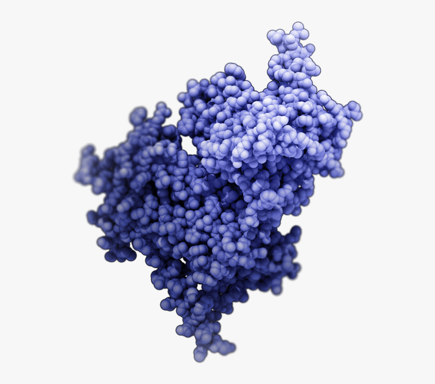 Drugs Png, Transparent Png