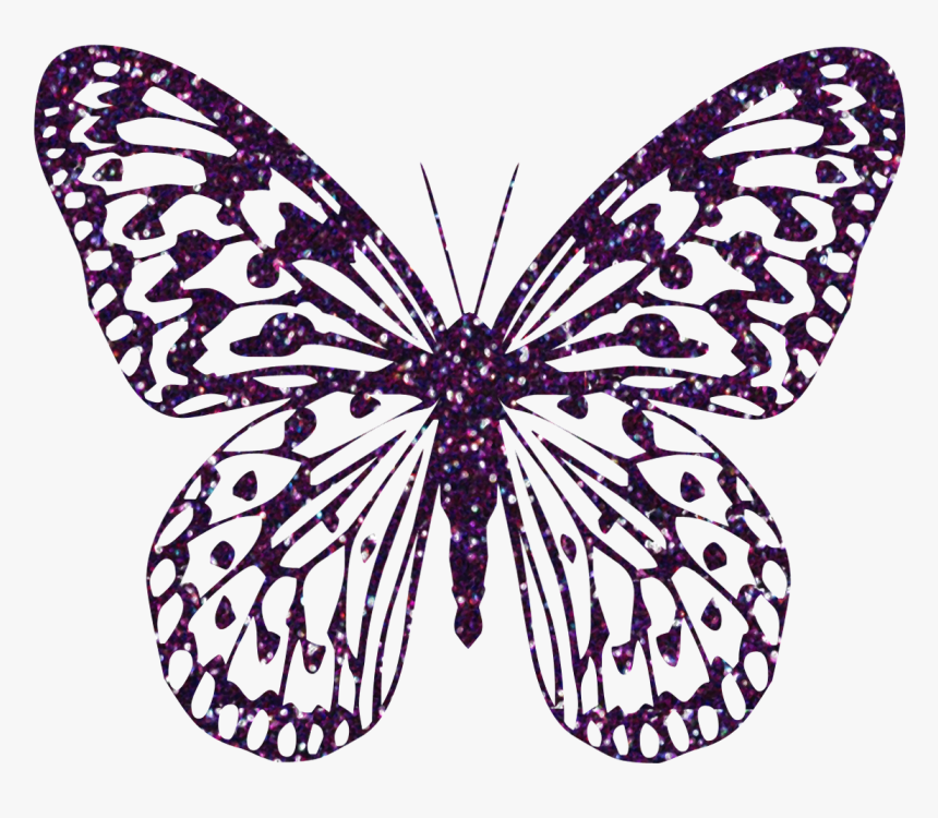 Graphic Library Stock Purple Decorative Png Image Gallery, Transparent Png