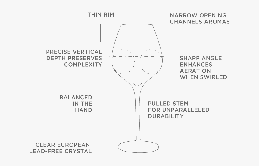 Glass Of Wine Png, Transparent Png
