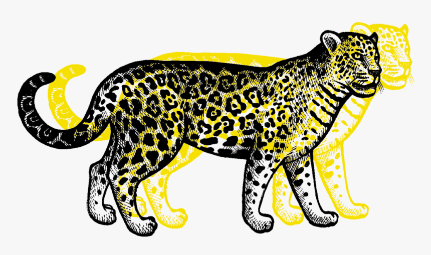 Transparent Leopard Png, Png Download