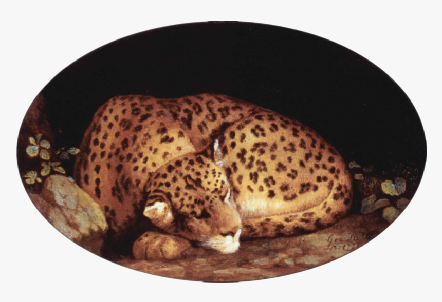 File - George Stubbs - Leopard, HD Png Download