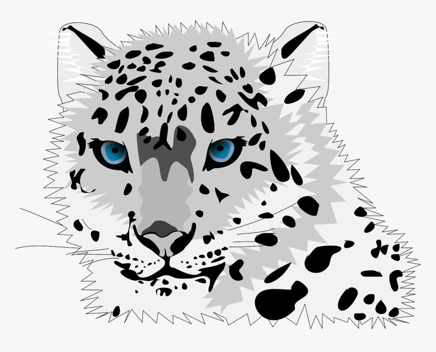 Leopard Png, Transparent Png