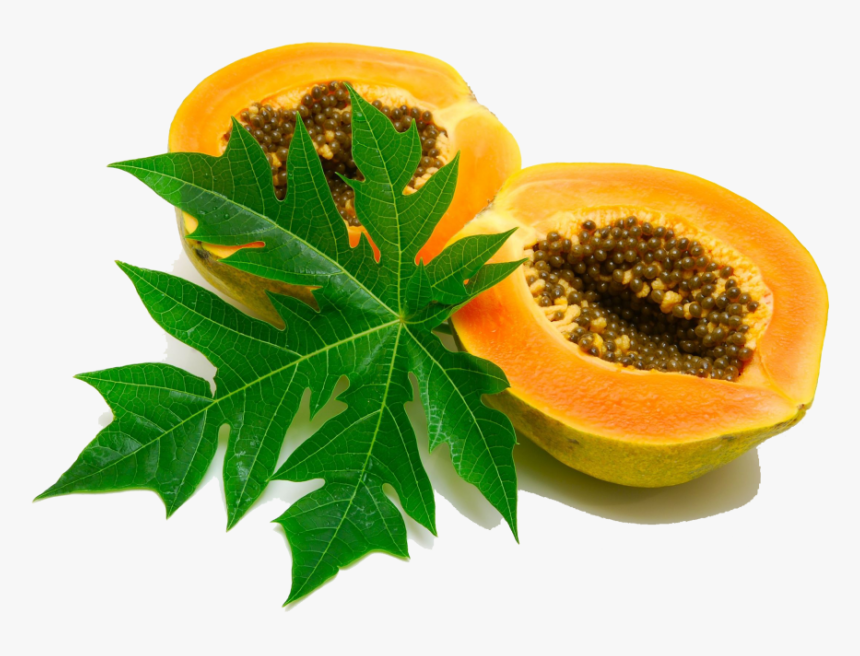Download Papaya Png Image 361, Transparent Png